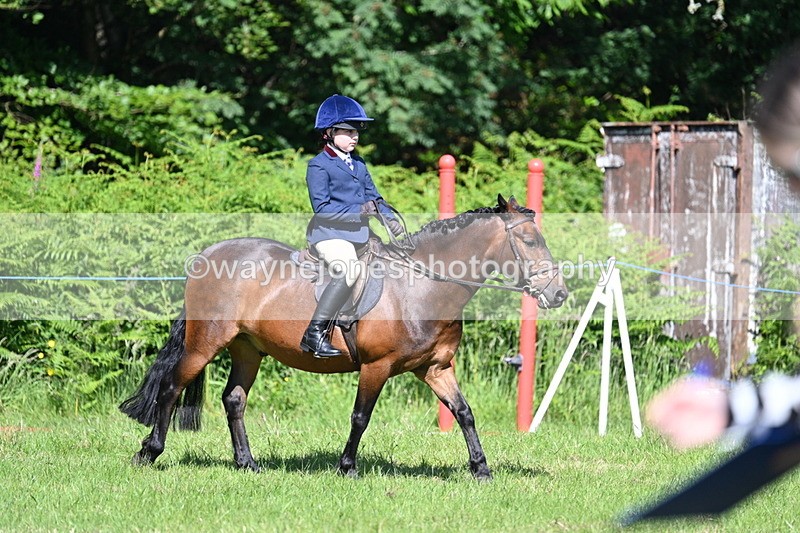 WJ7_0735 - Class 8 First Rally Pony