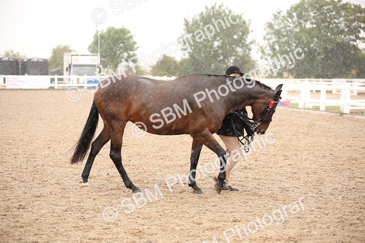 SBM_20659 - Class 705 - IH  Combination 65+
