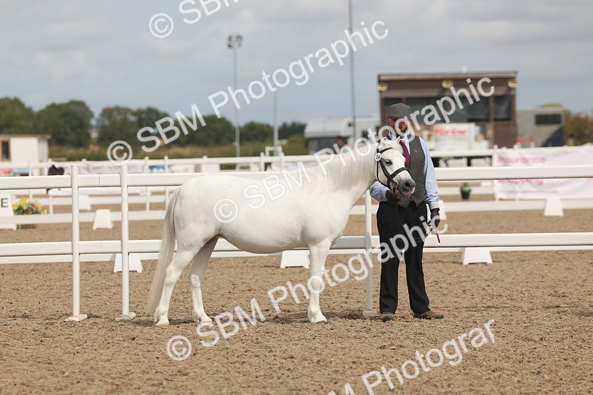 SBM_04933 - Class 20 - IH Veteran