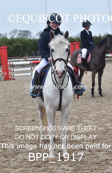 BPP_1917 - CLASS 17 Stepping Stones 128/ 138cms Handicap