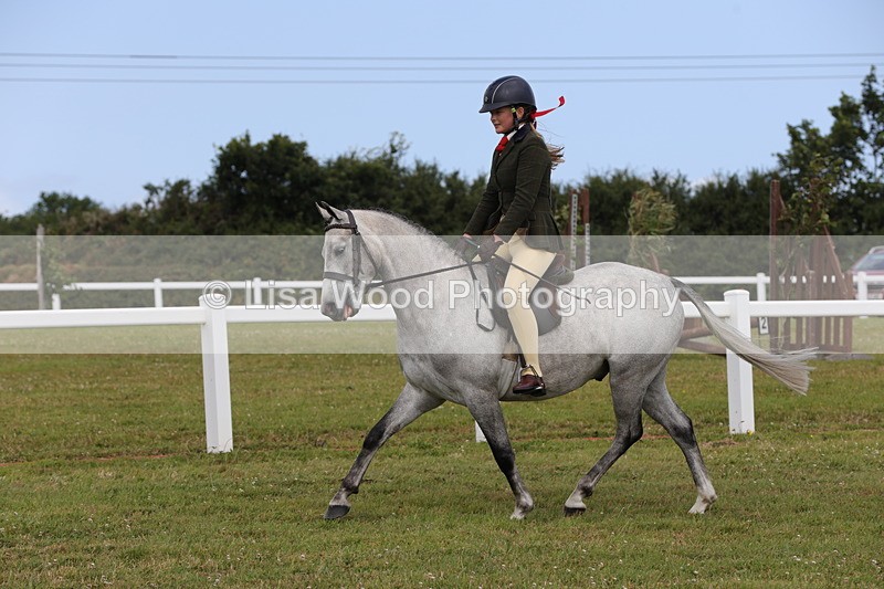 1X9A4028 - Class 32: Show Hunter Pony 153cm and under