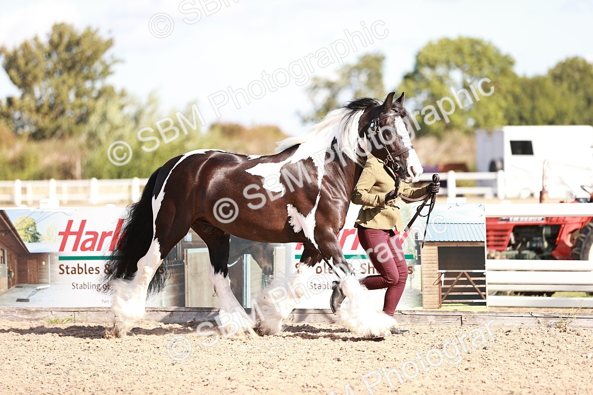 SBM_12578 - Class 404 - IH Traditional - Native Cob