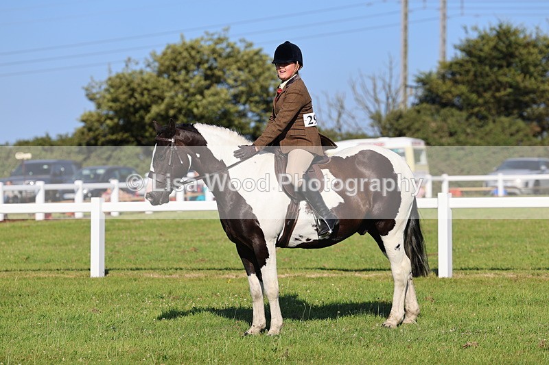 IMG_1393 - Class 28: Ridden Plaited Coloured Pony