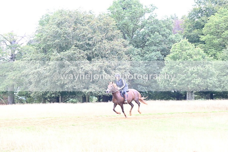 DSC_9764 - Time at Statue 15:11 to 15:58