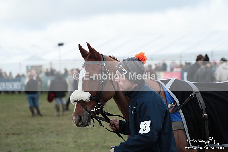 PtP 250126 35 - Cocklebarrow Races Point-to-Point 25/01/26