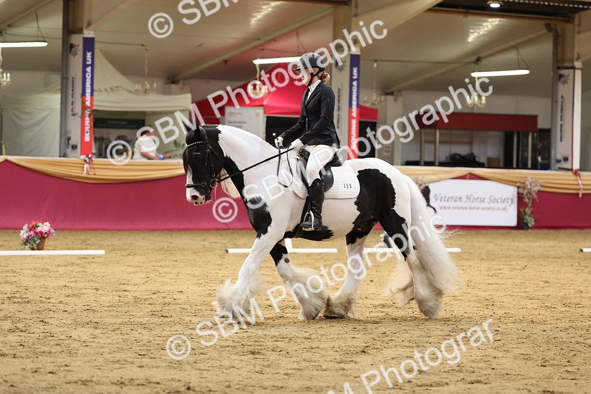 SBM_09293 - Class 51 - Dressage to music