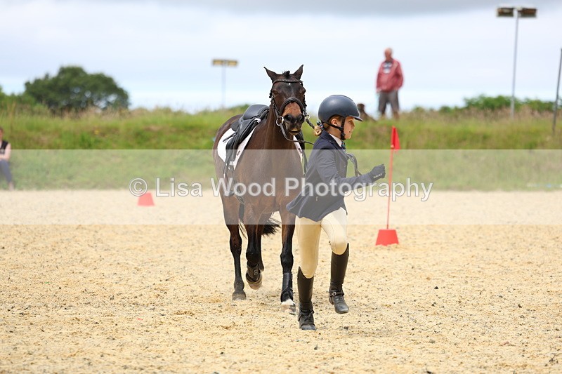 3E7A9640 - Walk trot run