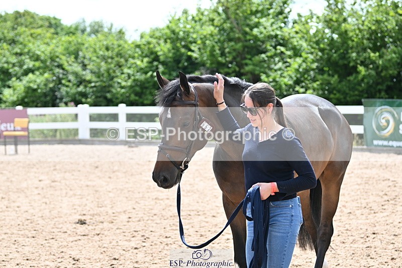 240717A-144711-02292 - Trot Up 2pm to 3pm - This folder is not in time order
