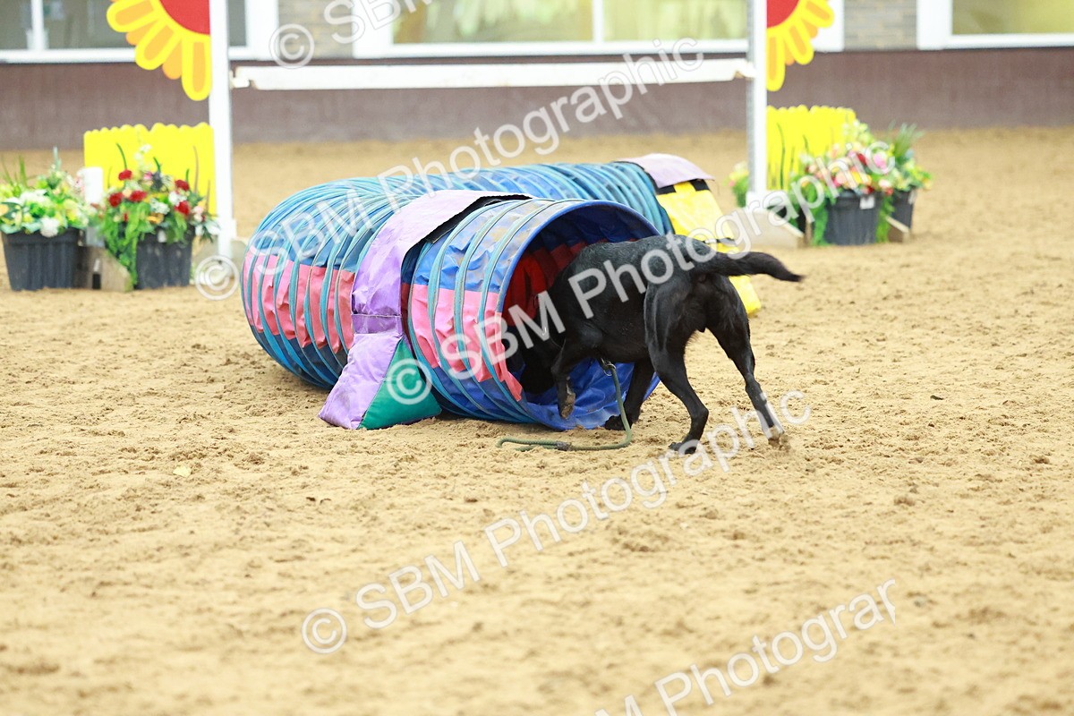 SBM_002575 - Class 3 - Horse & Hound (60cm)