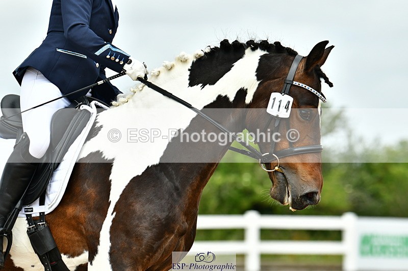 230702A-123124-09643 - Cls 28 Elementary 45