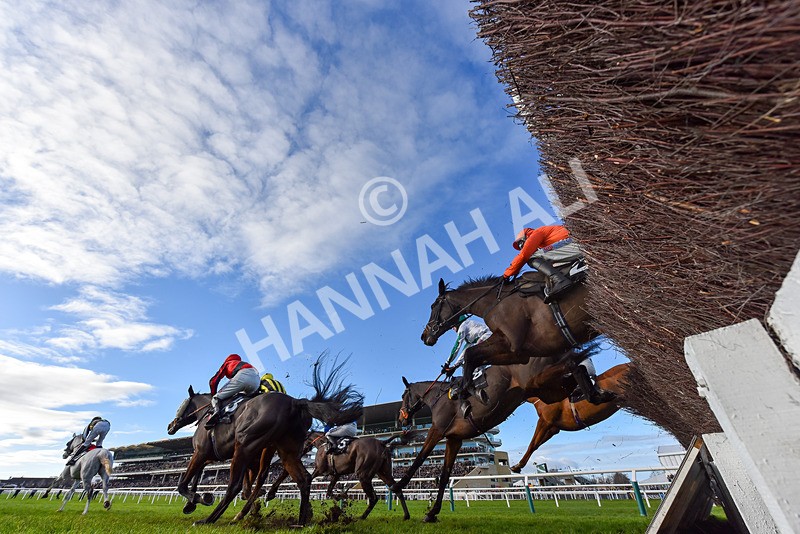 141224-Race 3-GV-9343 - Race 3