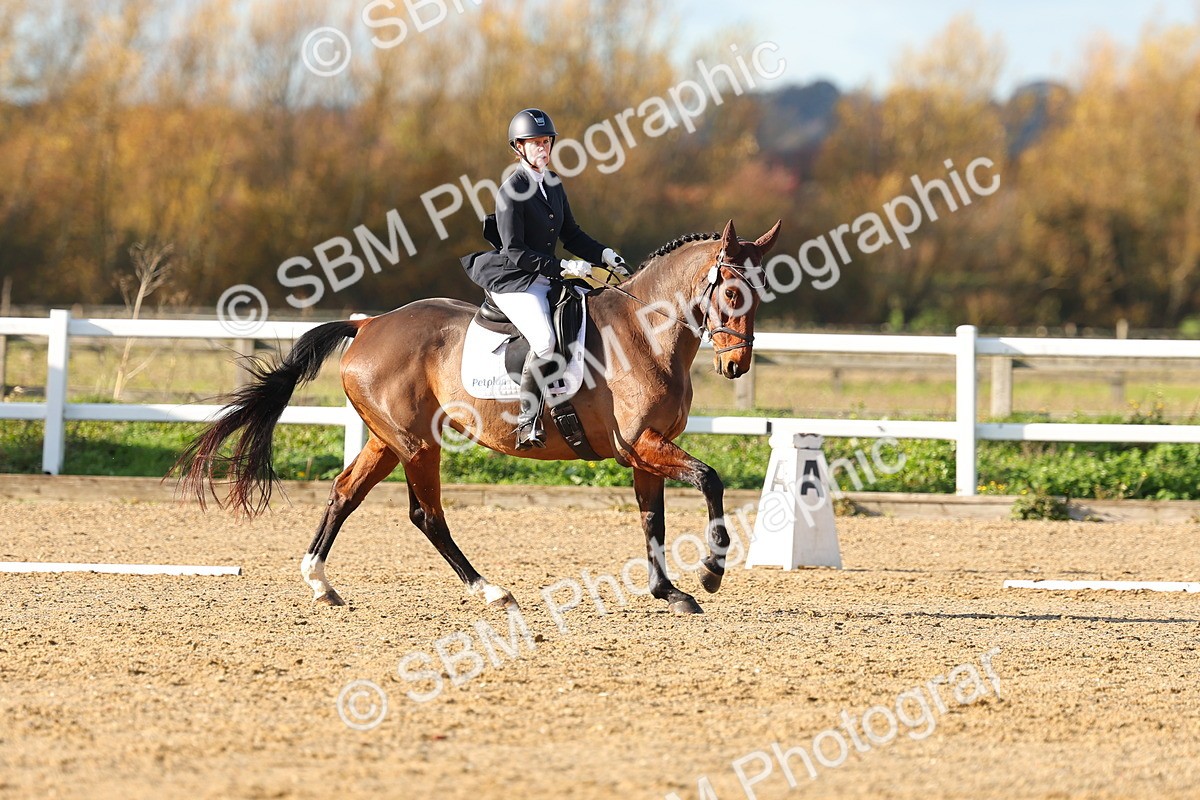 SBM_001108 - Novice 5