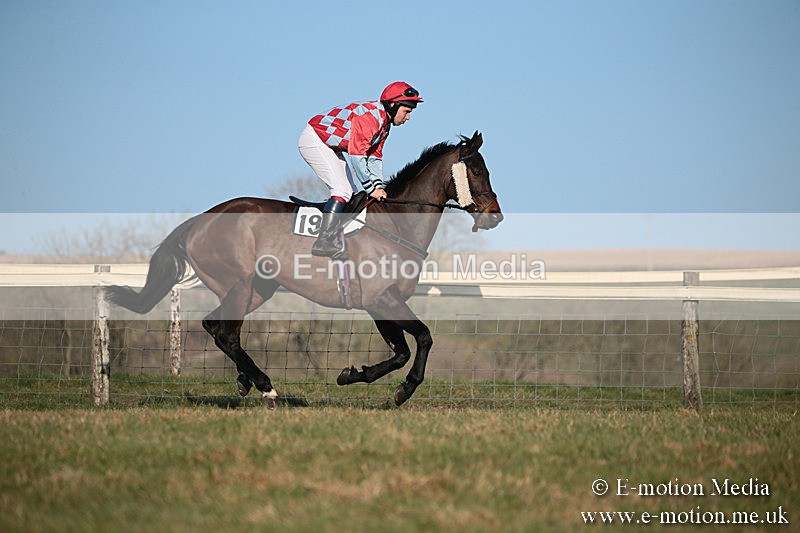 PtP 230219 480 - Vine & Craven Point-To-Point - Barbury 23/02/19