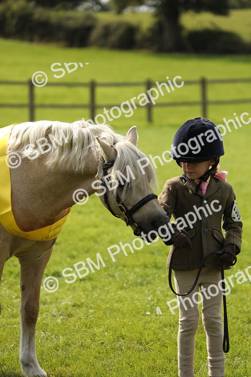 SBM_66318 - In Hand Pony & Youngstock Supreme Championship