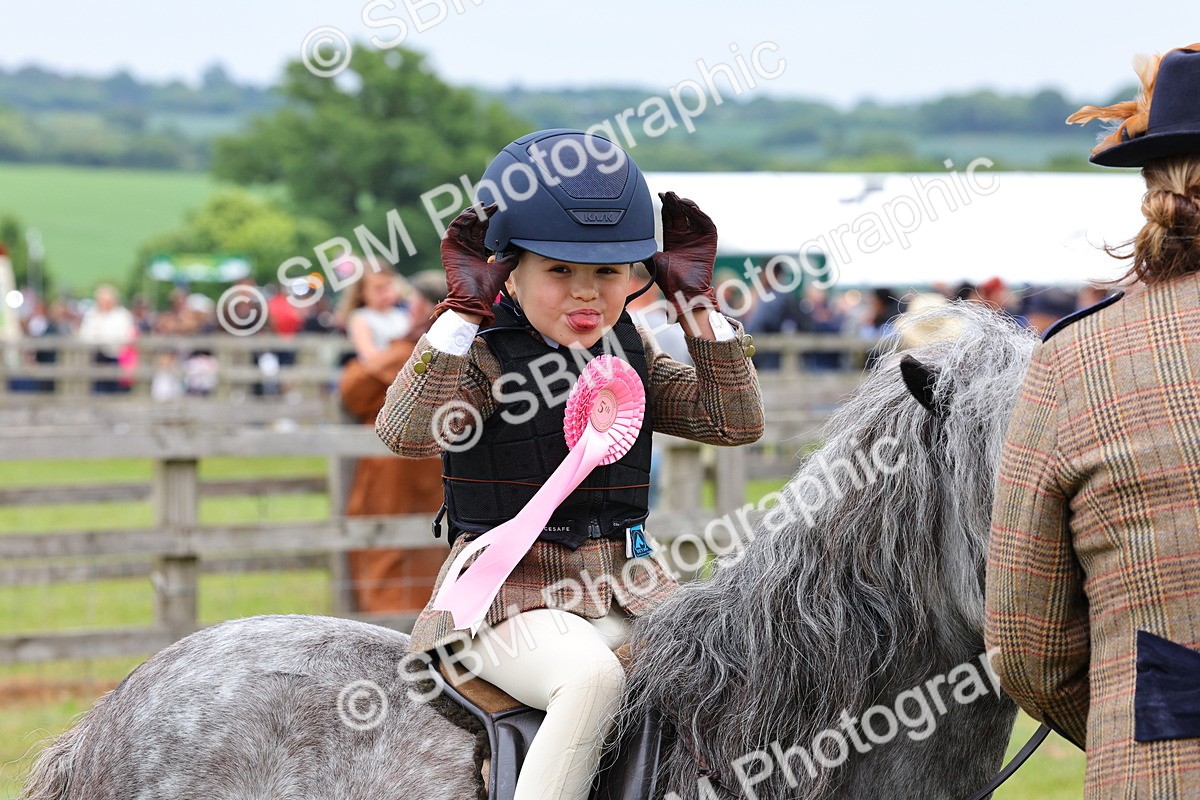 SBM_08388 - Class 42-43 - LIHS BSPS Heritage Working Sports Pony