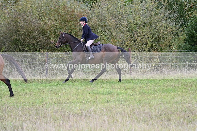 WJ7_3997 - Camera 1 Line 1