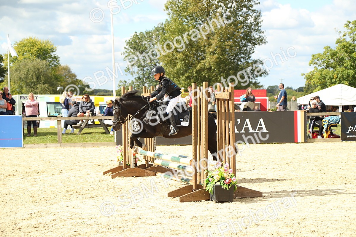 SBM_41313 - J6 - Junior Pony 55cm Championships