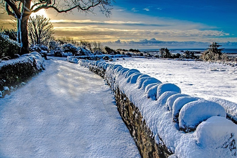 7L9A1098 no feet - Land of Man