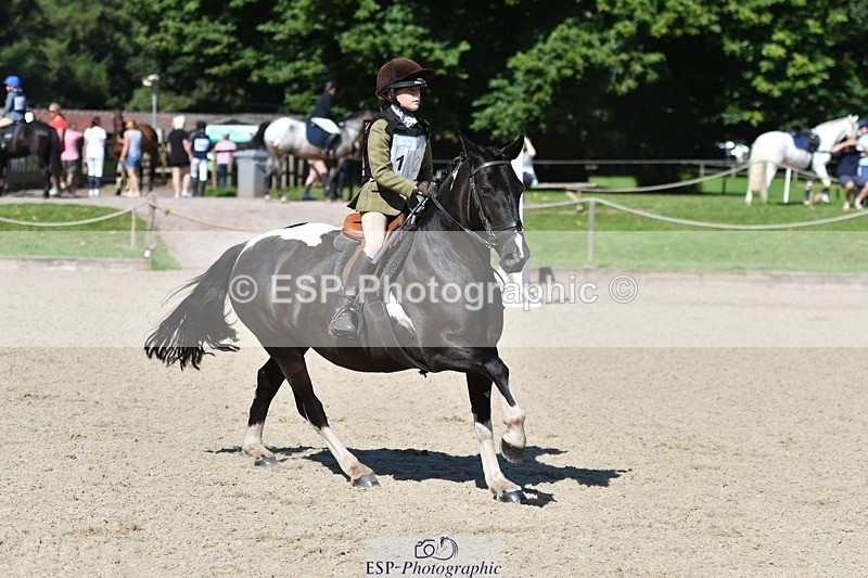 240728-101652-02225 - PC70, Round 2