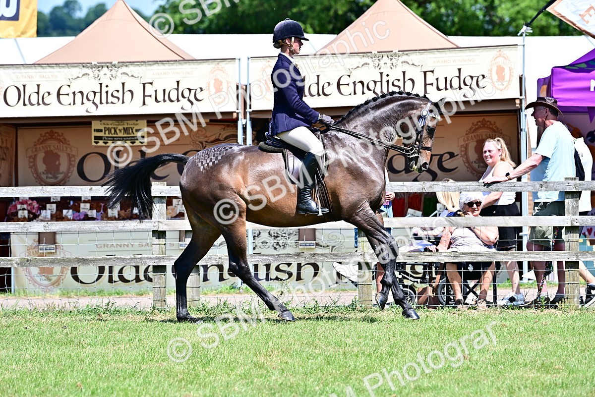 SBM_17504 - Class 95-97 - BSPS LHS Performance Ponies