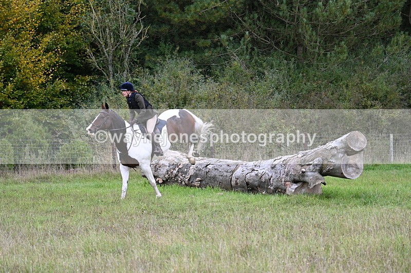 WJ7_3656 - Camera 1 Line 1