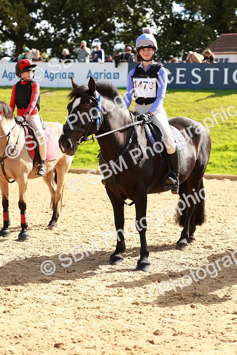 SBM_17415 - E4b - Eventers Challenge 60cm Open