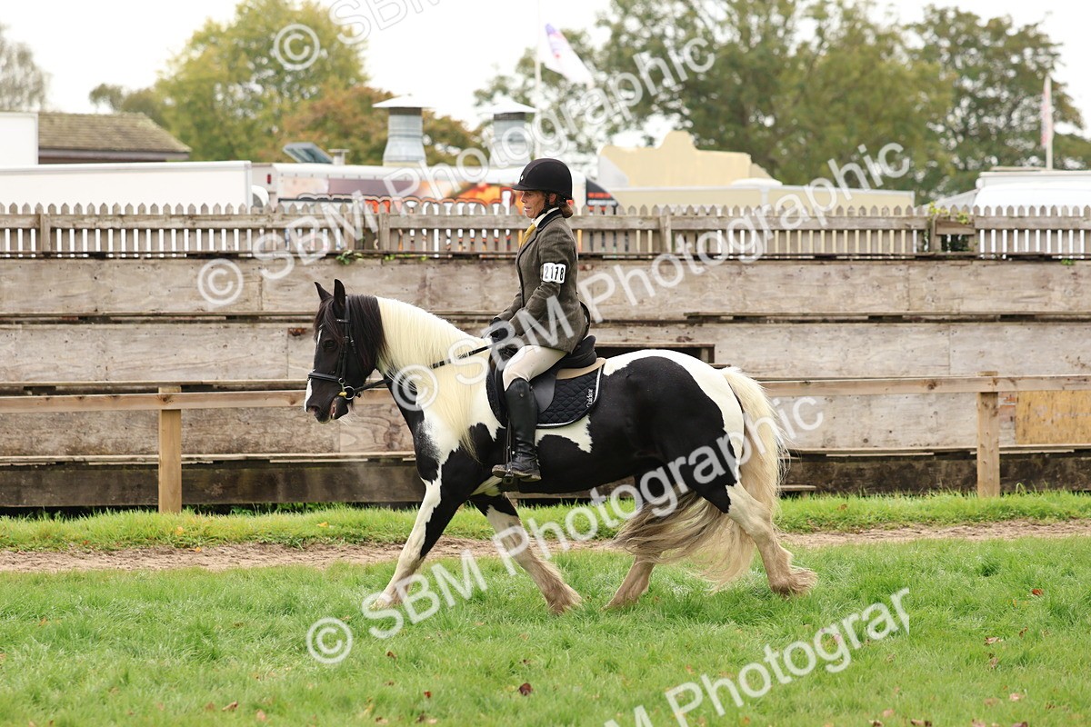 SBM_59926 - S36 - Rehabiliated Rescue Horse & Pony In Hand & Ridden
