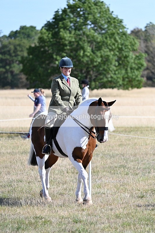 WJ7_3059 - Class 8 Ridden Tack & Turnout