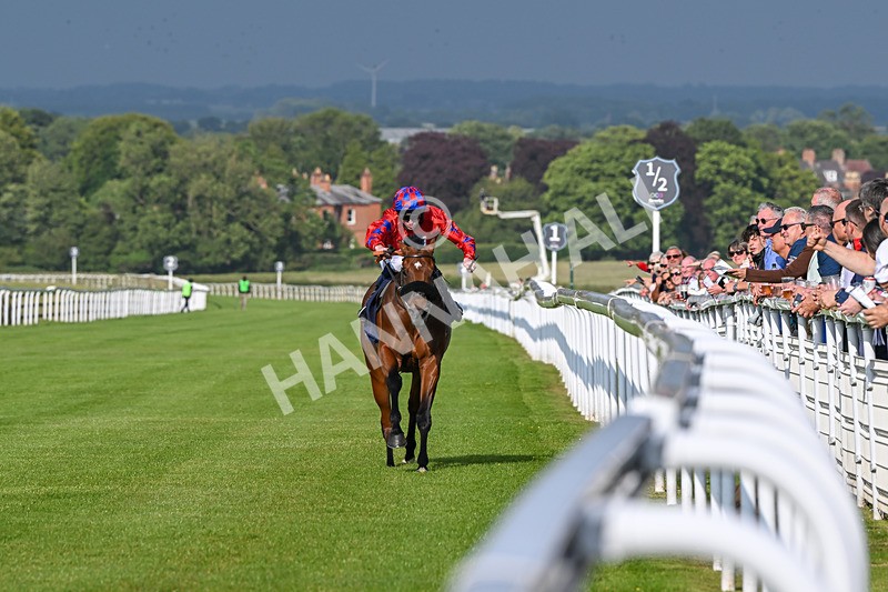 170625-Race 1-Command The Stars-5587 - Race 1