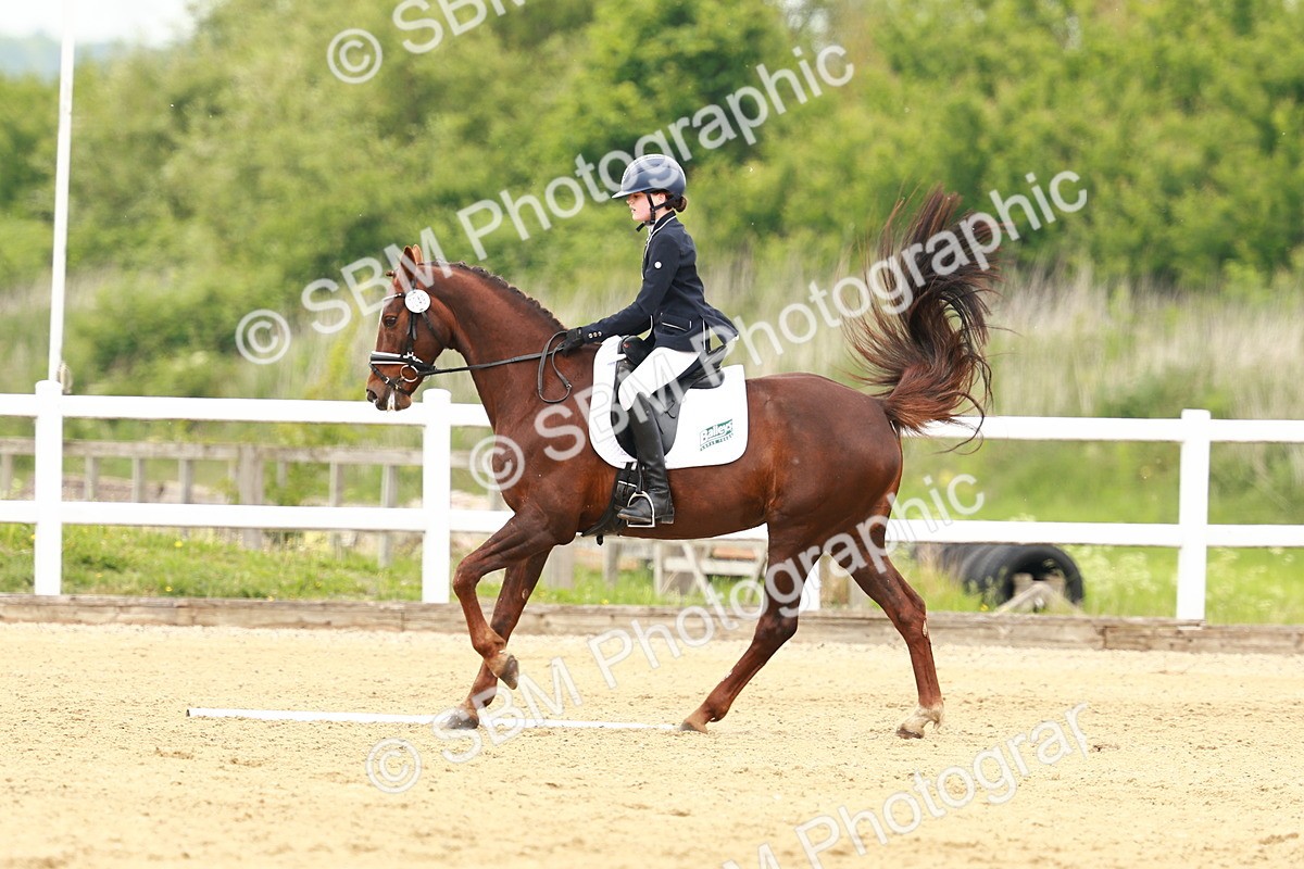 SBM_001620 - Class 7 - Novice 5