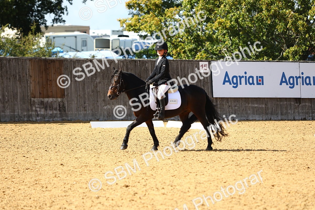 SBM_49081 - D23 - Junior Championship Prelim 1