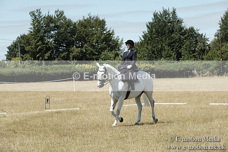_PJP5945 - Dressage Classes BVRC Show 2018