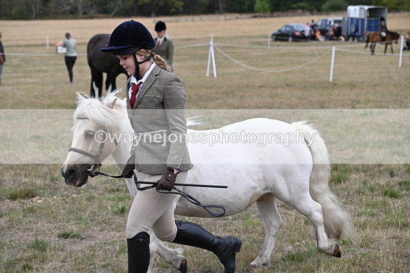 WJ6_6140 - Class 19 In-hand Veterans (Uploaded correct folder)