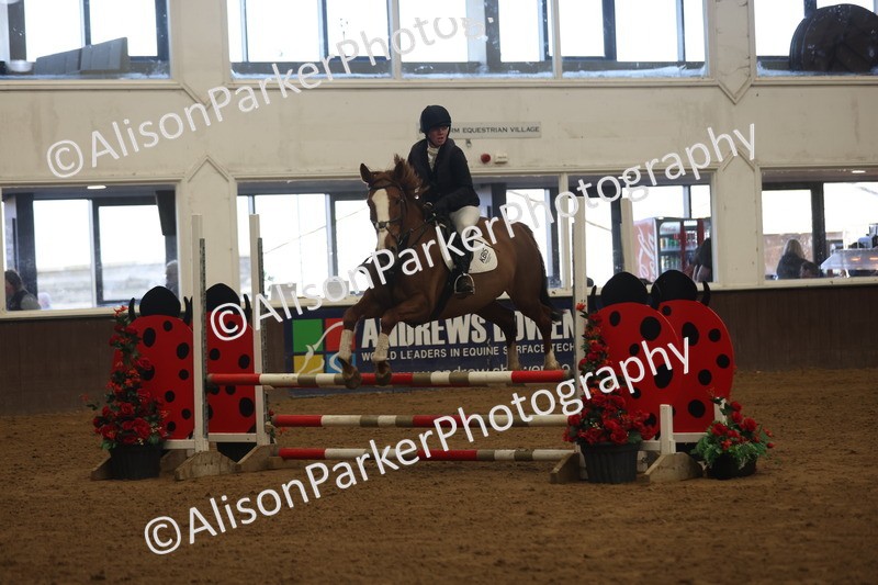 20260314-3452 - 80cm