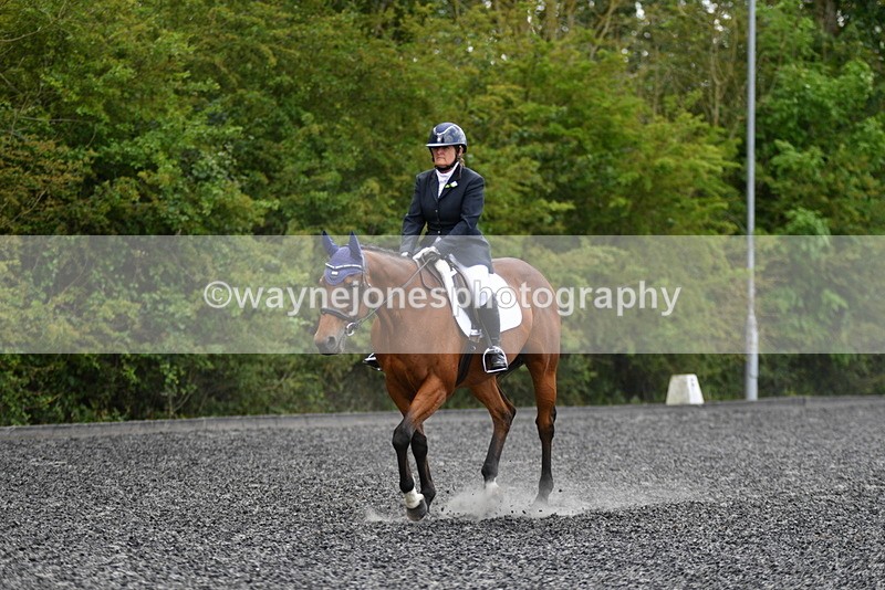 WJ5_0281 - Time 12:24 to 13:01