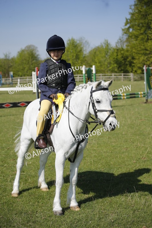 20250427-0456 - Class 12 - Rookie Jumping 40cm
