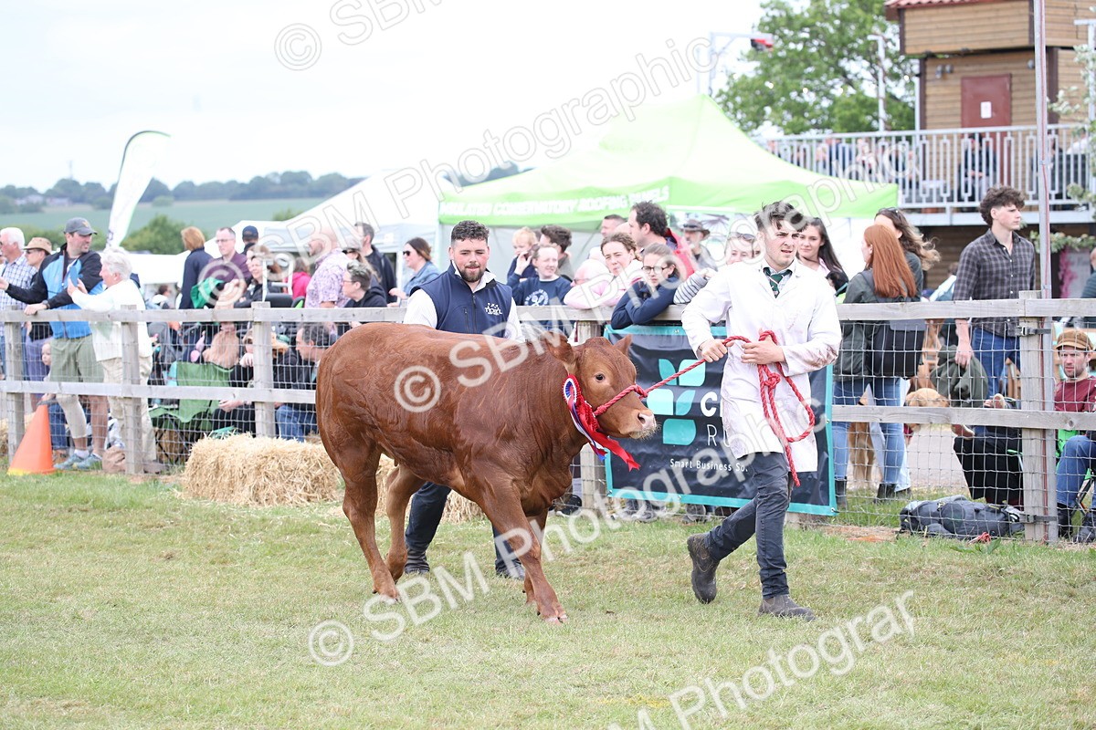 SBM_07814 - Grand Parade
