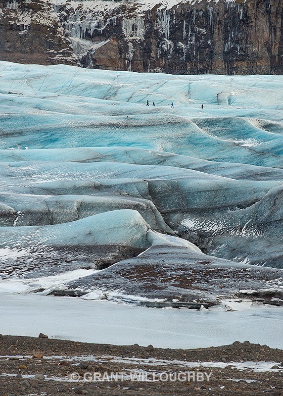 A walk on the wild side - Iceland