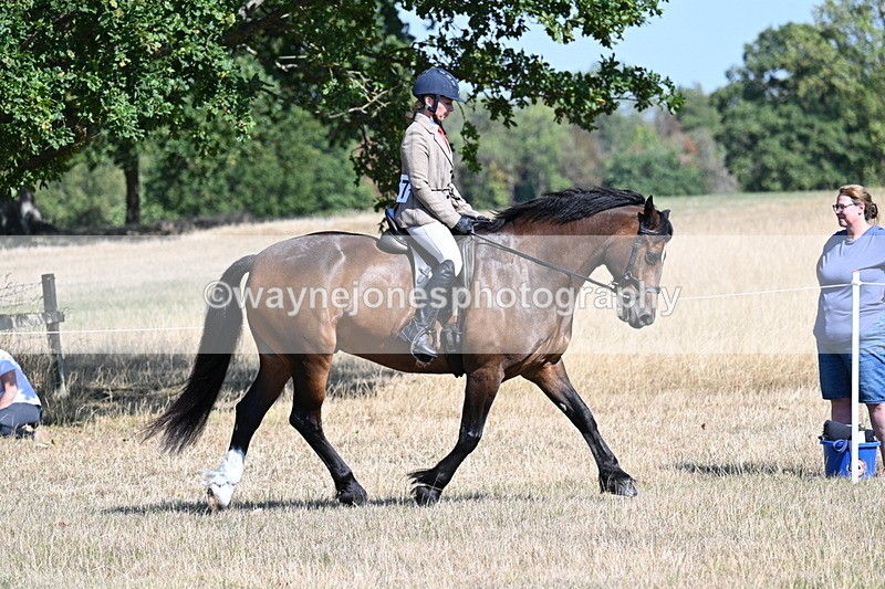 WJ7_3894 - Class 9 Mountain & Moorland Ridden