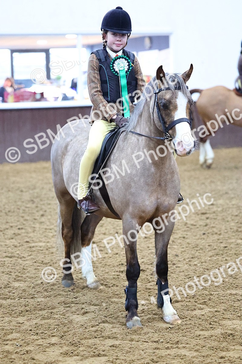 SBM_003208 - Class 35 - 60cm Training Stakes