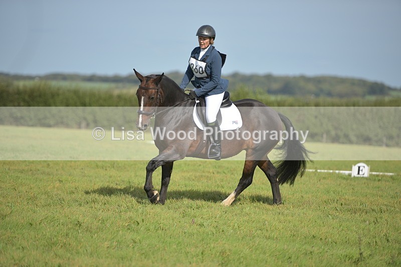 RAY_7812 - Class 2B: Trekenning Open: Dressage