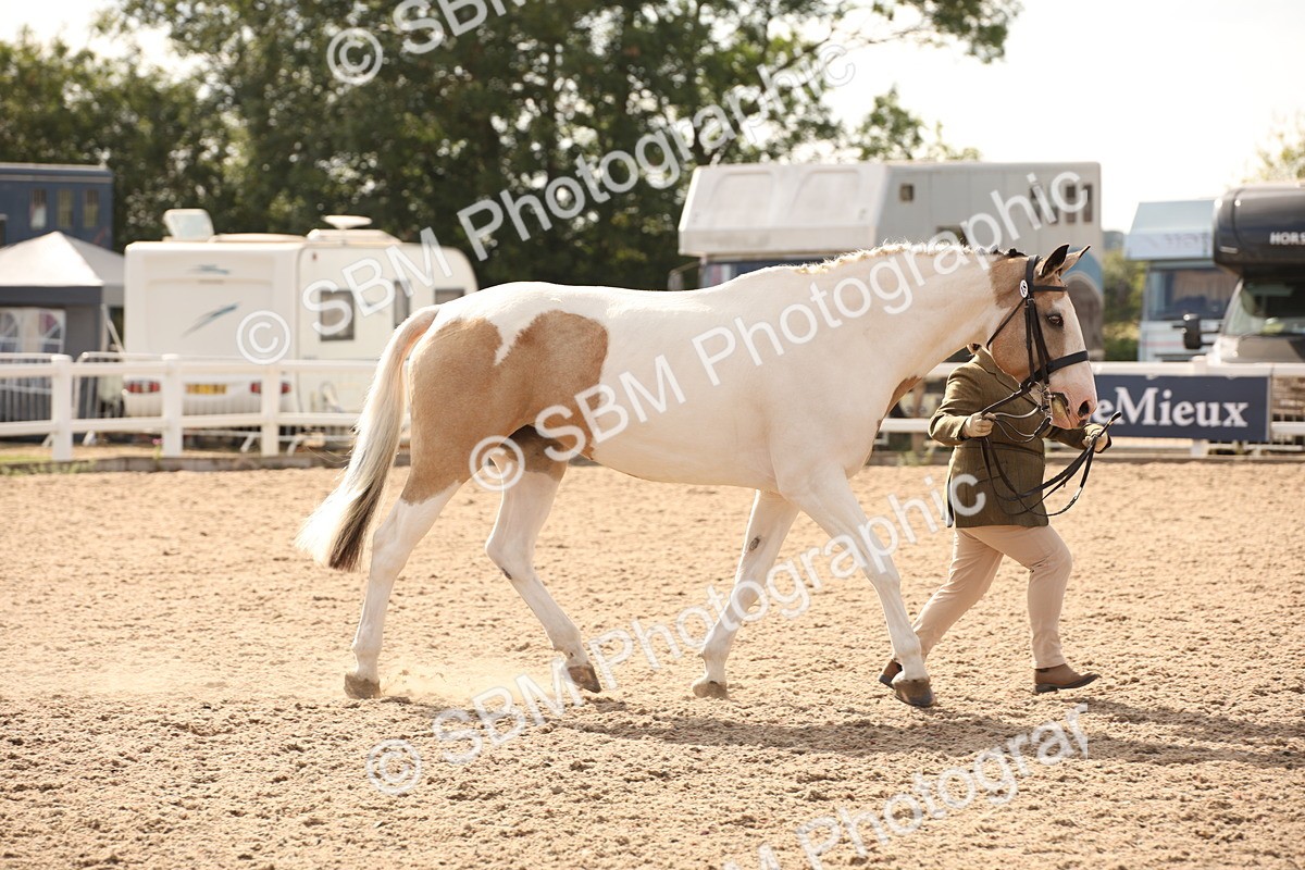 SBM_08173 - Class 27 - IH Competition Horse-Pony