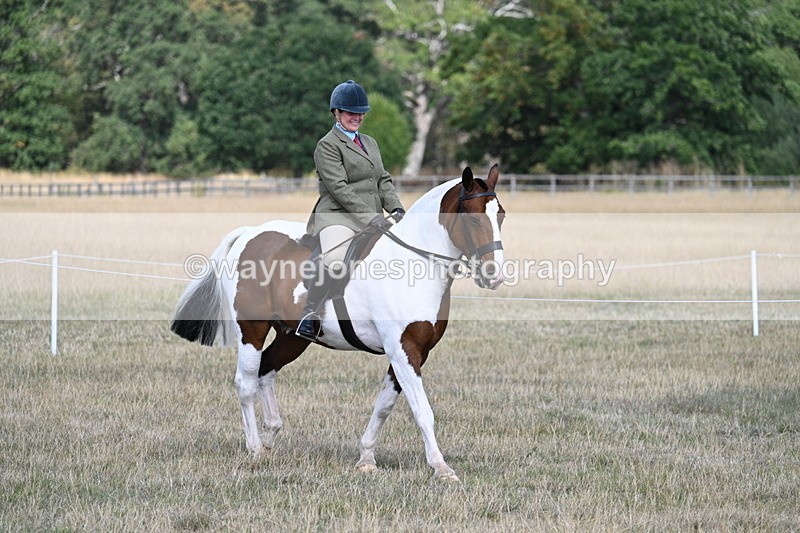 WJ7_6692 - Class 14 Ridden Coloured