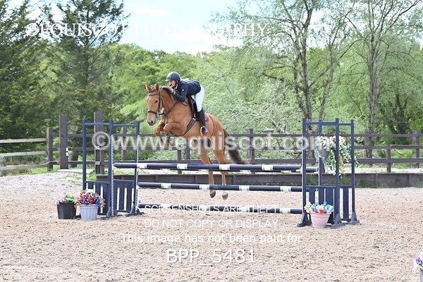BPP_5481 - CLASS 4  BritishNovice/ 90cm Open