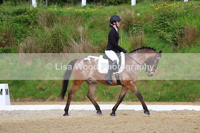 3E7A3582 - Class 2: INTRO B- INTRO 3 2024