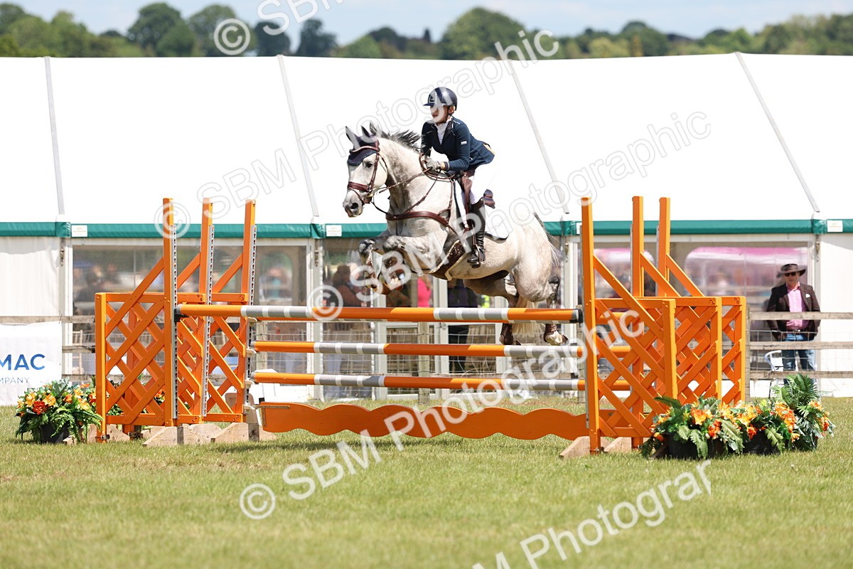 SBM_15523 - Class 207 - Senior 1.15m Open