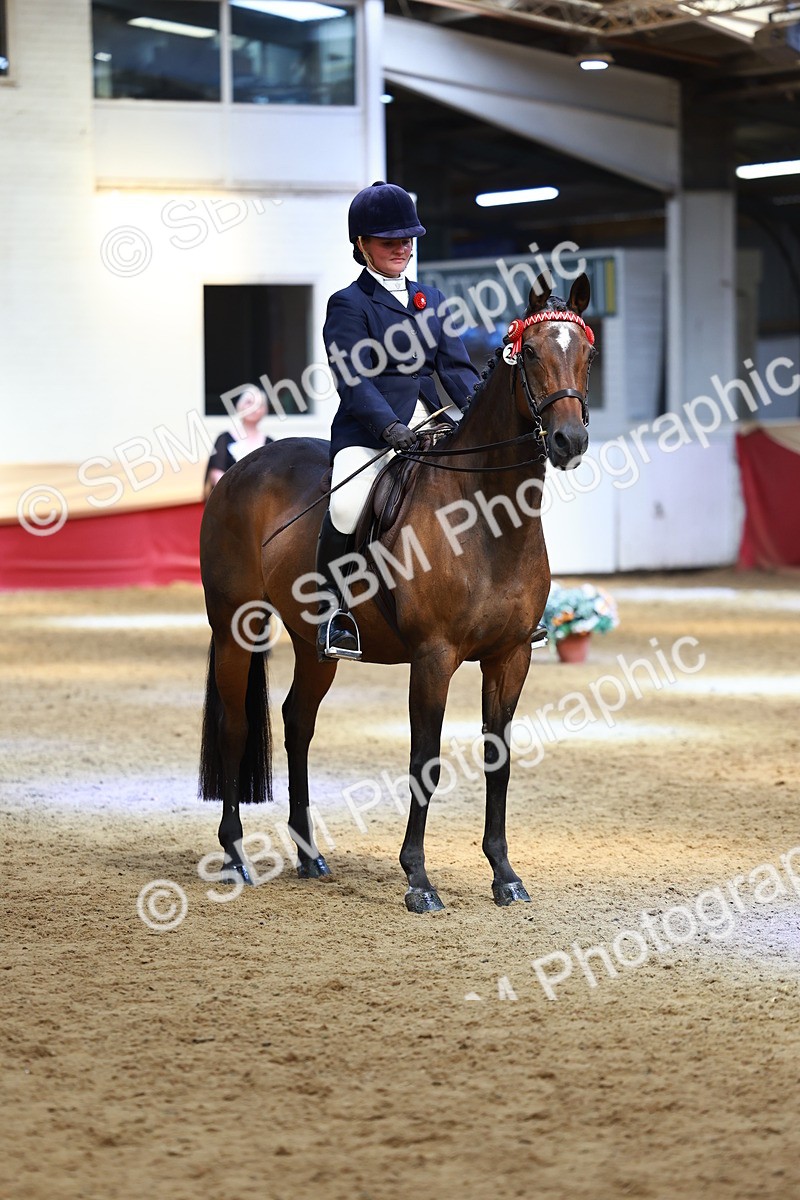 SBM_23956 - Class 905 - Supreme Final - Ridden Veteran