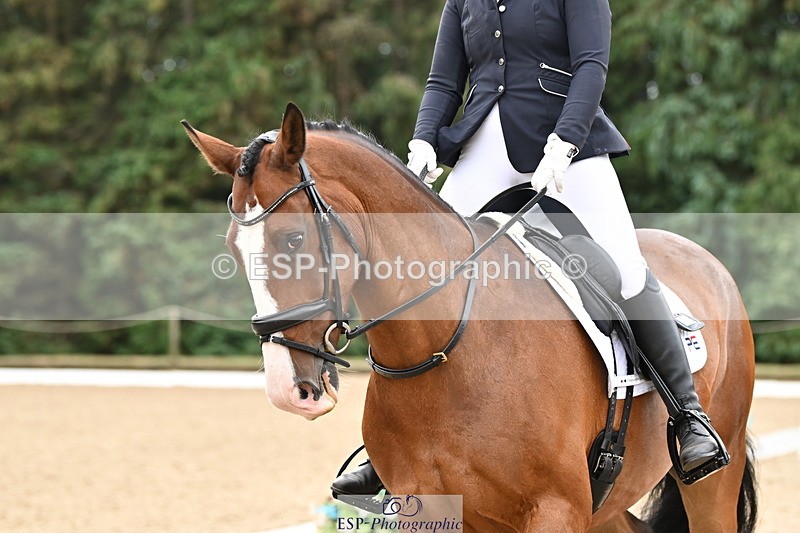 250808A-110920-00394 - 092-Bella.Balian-Beechwood.Joey