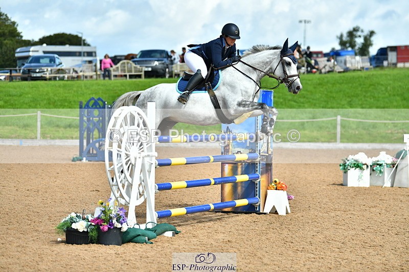 230811A-120149-04071 - Cls 20 Snr Fox