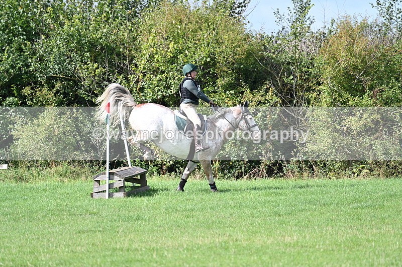 WJ7_9005 - Time 11:10 to 11:53